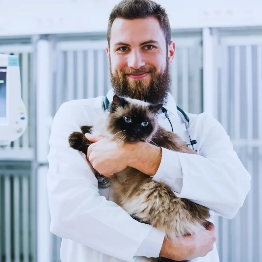 person holding cat indoor